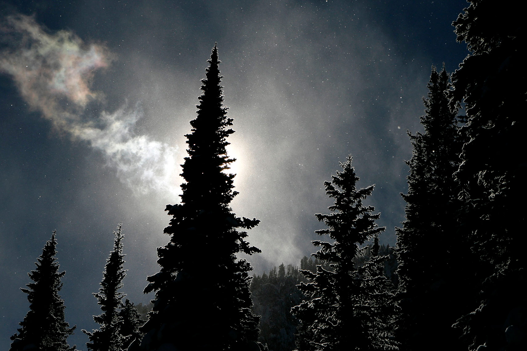 DAP landscape forest Bridger mountains sun dog