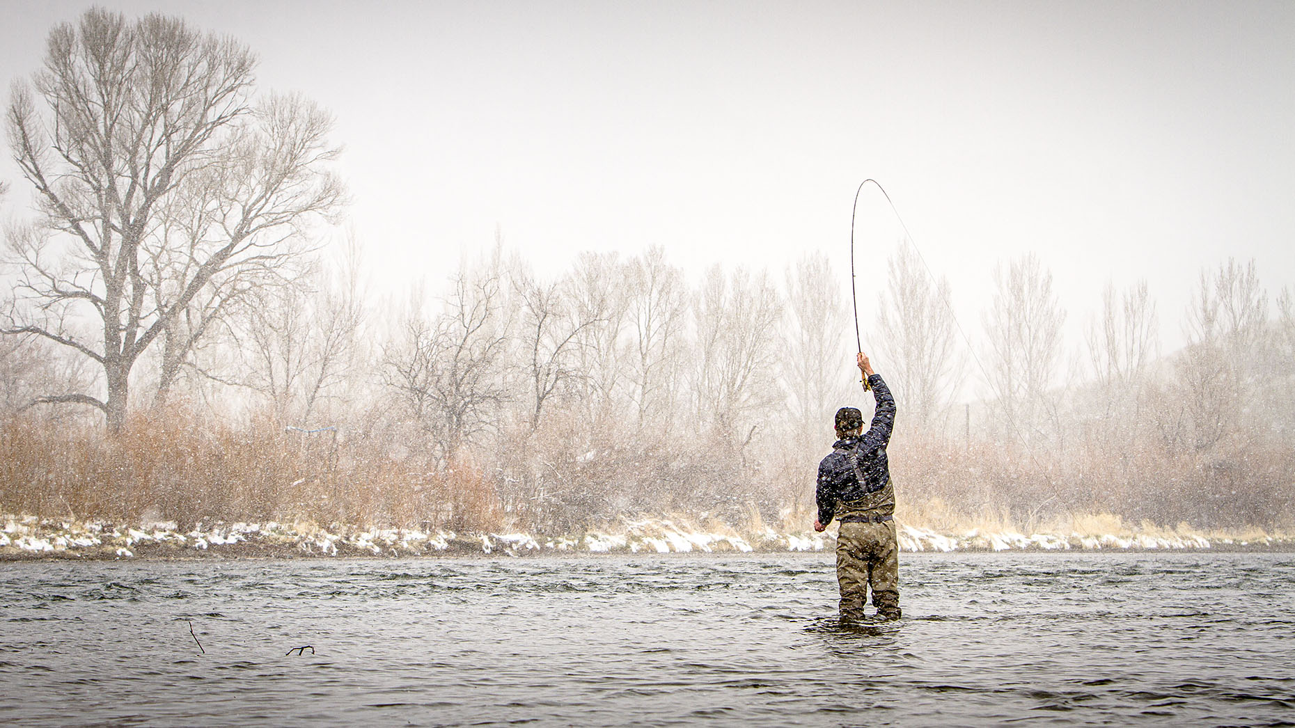 DAP sport fly fishing Missouri River Montana Steve Hemkens