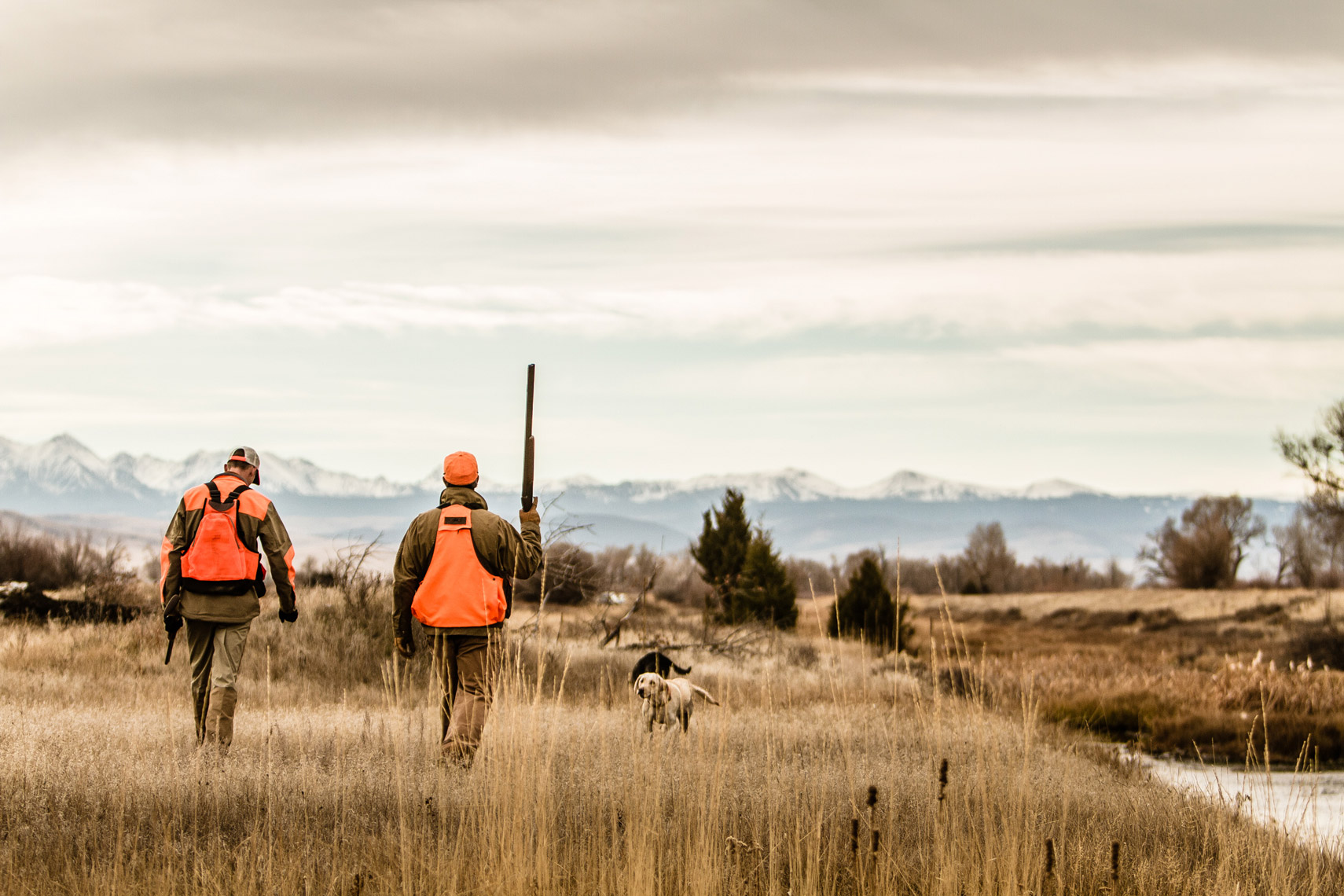 DAP sport upland bird hunting pheasants Montana 